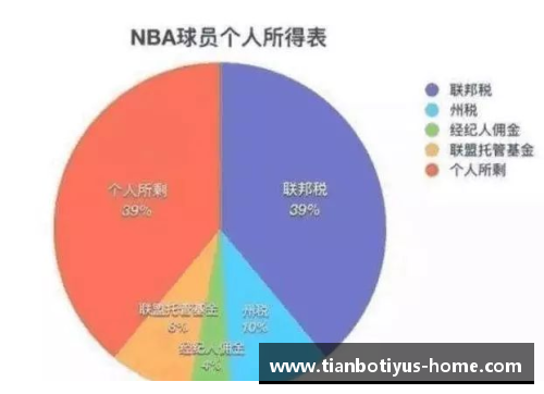 NBA球员薪酬分析：洞察体育巨头的收入结构